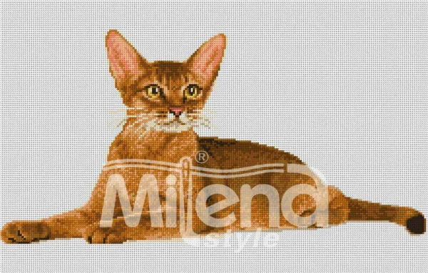Абисинска котка - гоблен със схема