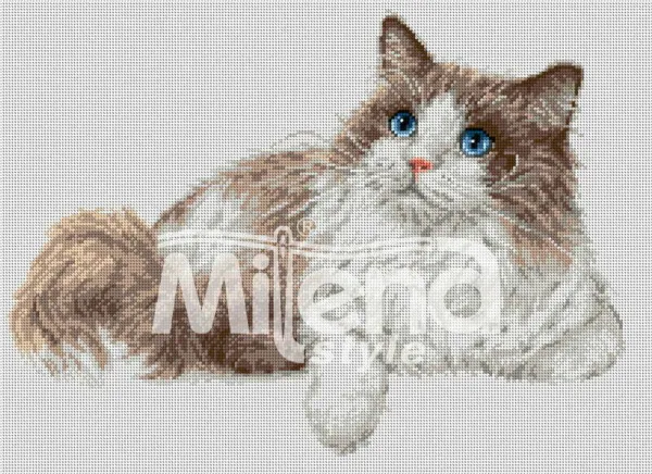 Котка Рагдол - гоблен със схема