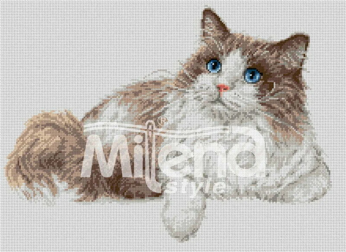 Котка Рагдол - гоблен със схема