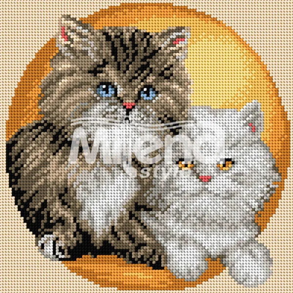 Две котета
