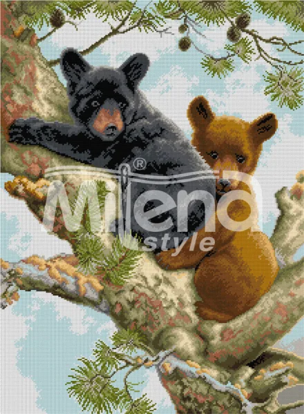 Две мечета